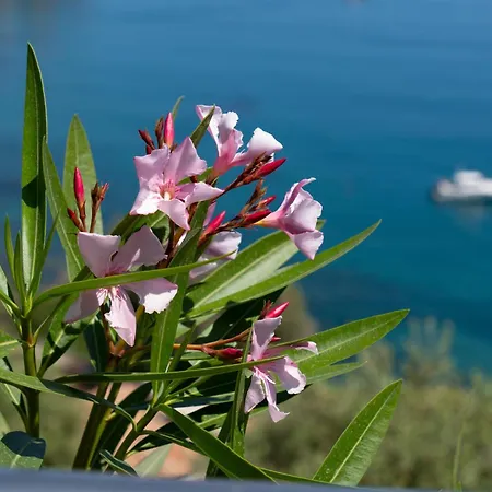 Maree * Cefalù